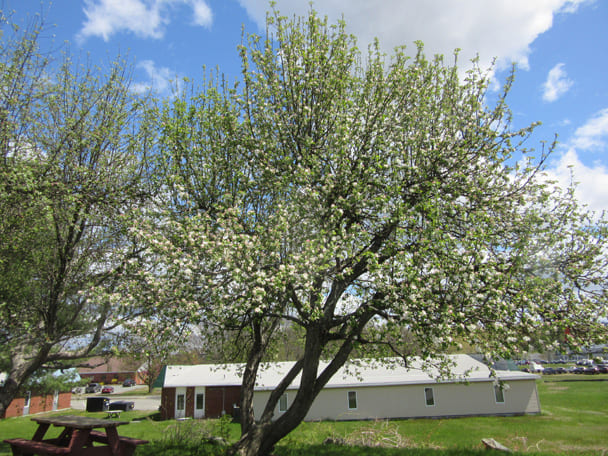 Gilman Office Center Spring Exterior