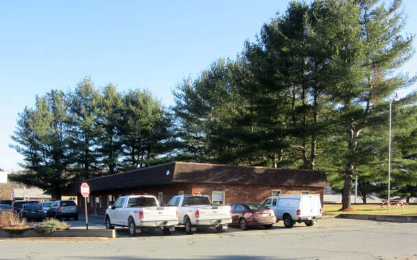 Pine Trees Behind Building 6 at Gilman Office Center