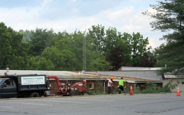 Pine Trees Removed Behind Building 6 at Gilman Office Center